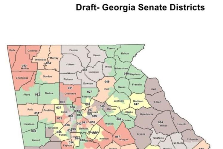 Floyd County Georgia Map Proposed State Senate Map Shifts Floyd County District Toward Bartow |  Local News | Northwestgeorgianews.com
