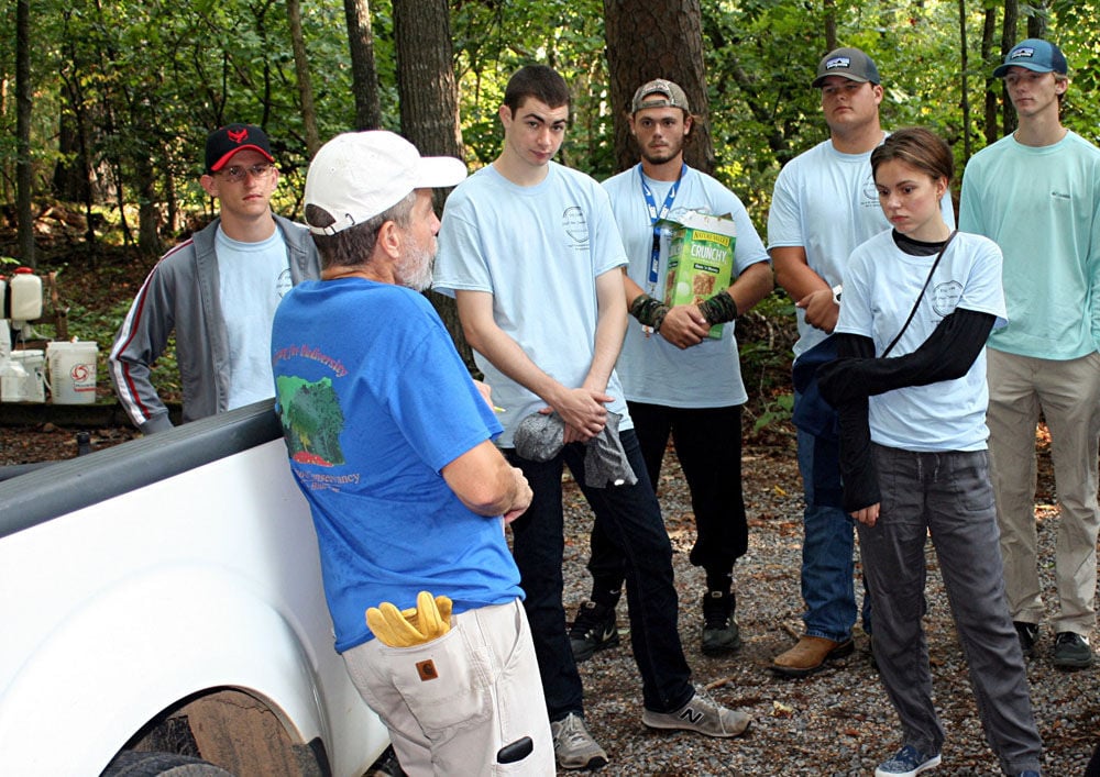 marshall forest vehicle