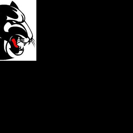 FOOTBALL: Panthers' home opener spoiled by Trion