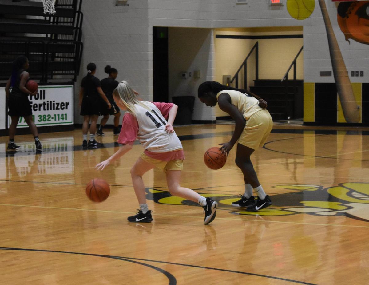 Basketball Lady Jackets Looking Ahead To Season S Start Sports