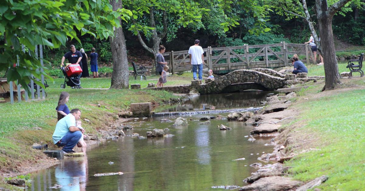 Families enjoy mild weather at Rolater Park in Cave Spring | Lifestyles ...