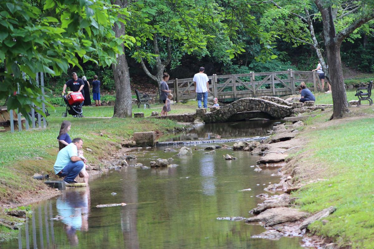 Families enjoy mild weather at Rolater Park in Cave Spring Lifestyles