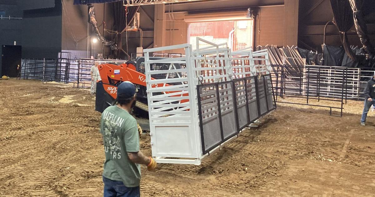 Pacifi Rome Bull The Forum in Rome Prepares For Bull Riding Event | Local News ...