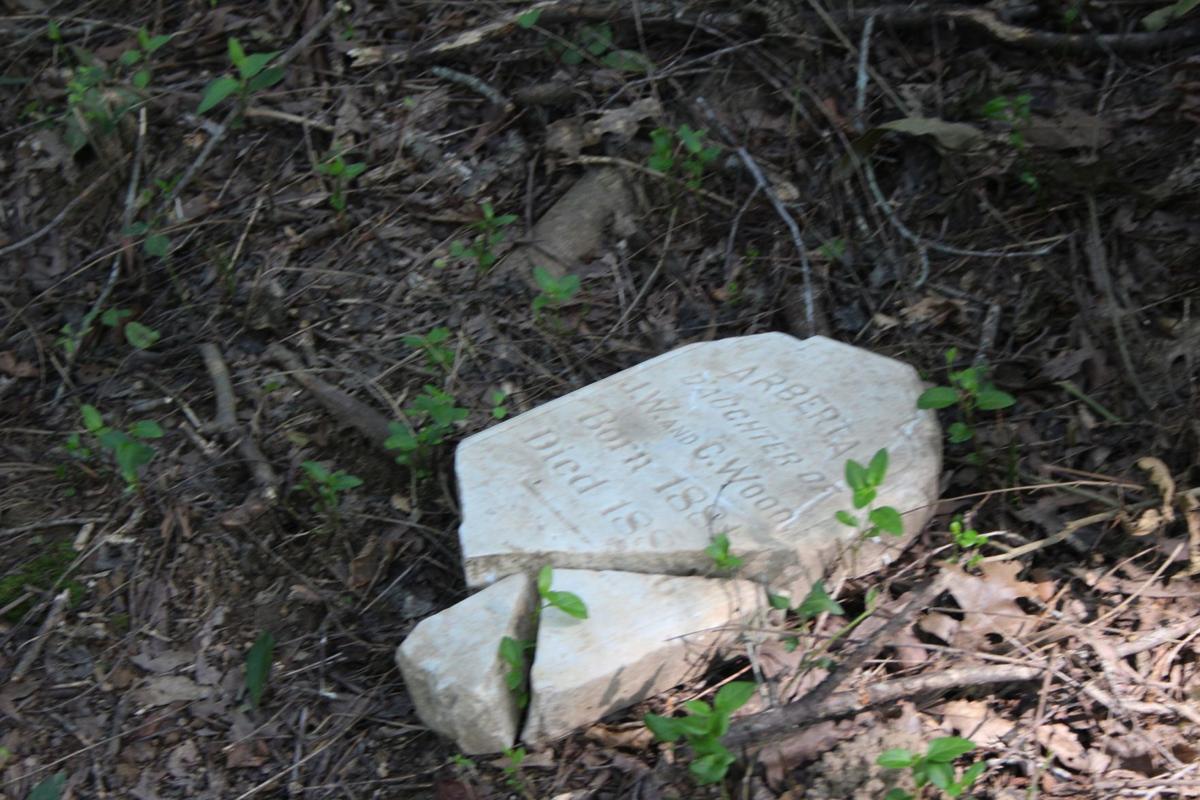 Volunteers working to preserve what remains of Cotton Hill Cemetery