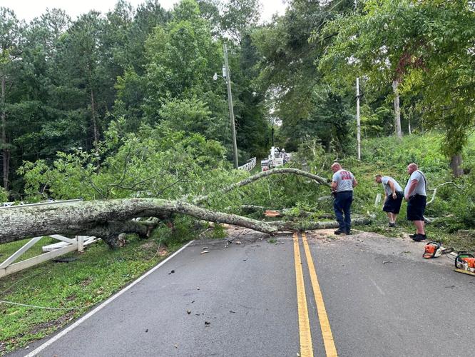 LaFayette, tree down