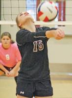 Sand Rock takes two of three volleyball matches on senior night