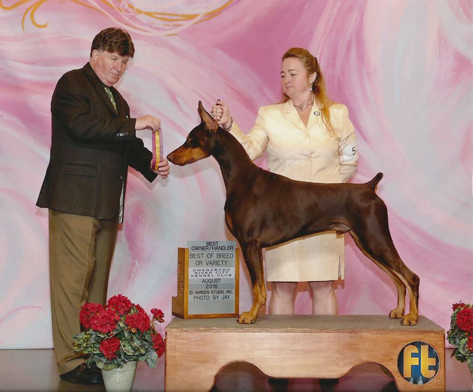 doberman dog show 2019
