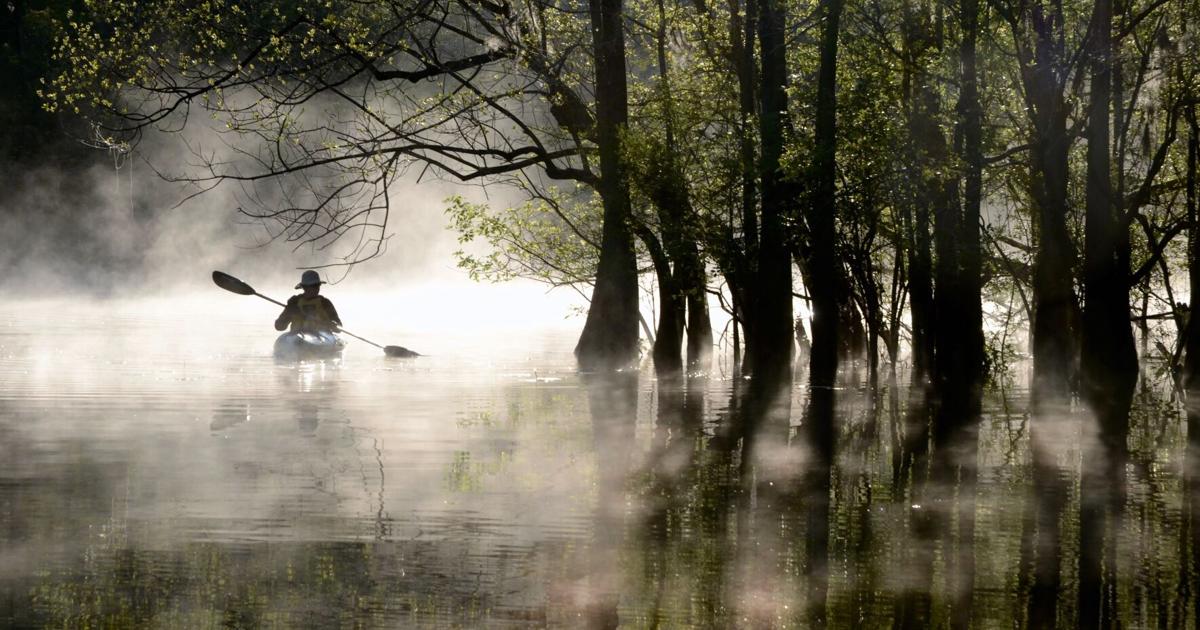 Navigability Debate Continues as Georgia Panel Sidesteps Law Changes ...