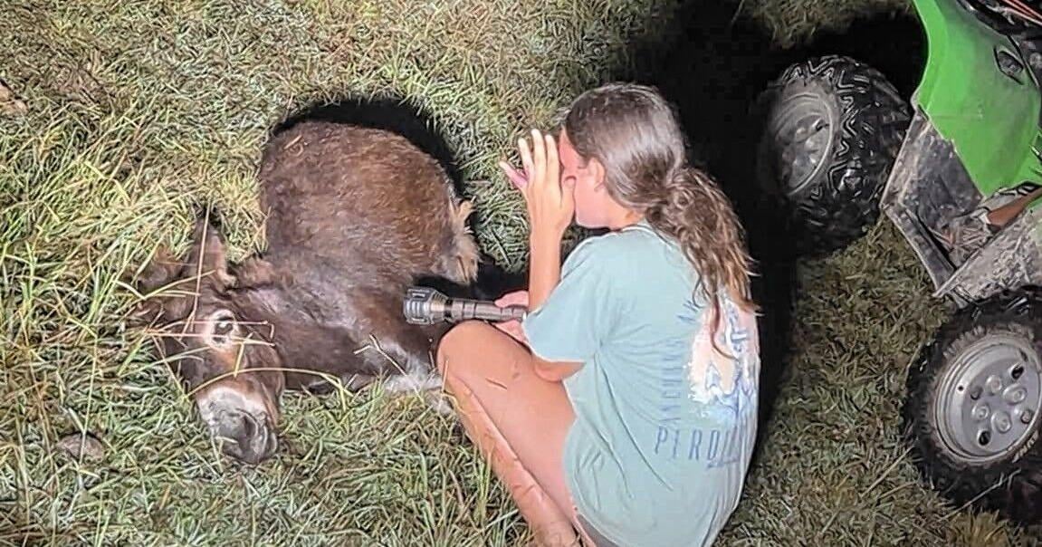 Over $100K raised after Cedartown donkey shot by police