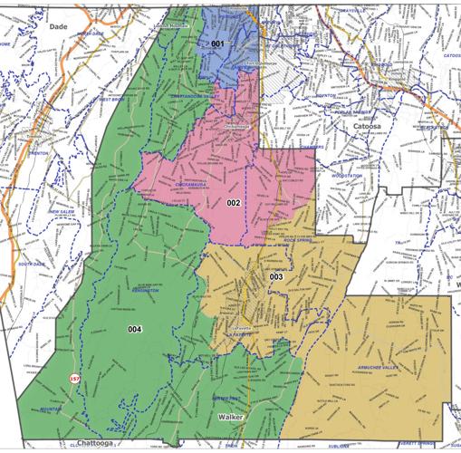 Walker County four districts map