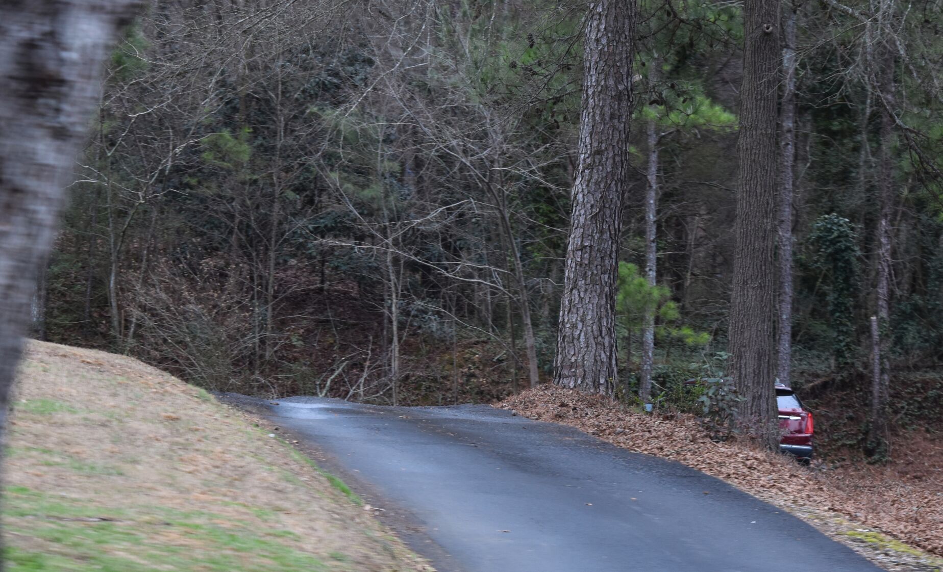 Human Remains Found Near Downtown Calhoun | Local ...