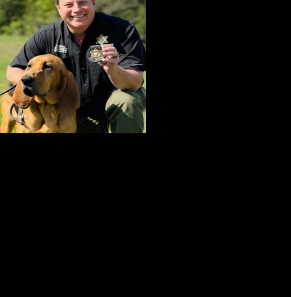 Sheriff Welcomes New K9 Member to Gordon County | Local ...
