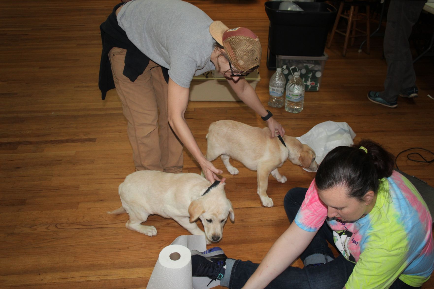 mobile dog spay near me