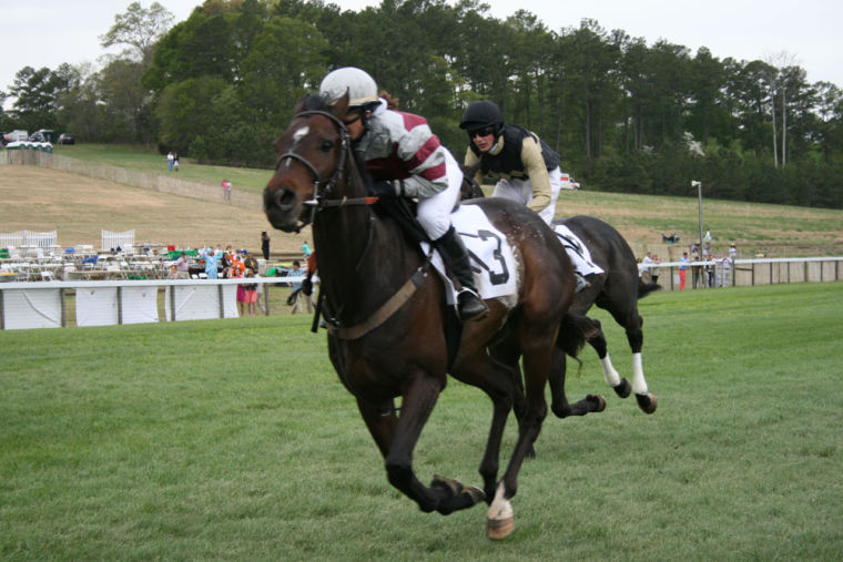 2014 Atlanta Steeplechase | Gallery | northwestgeorgianews.com