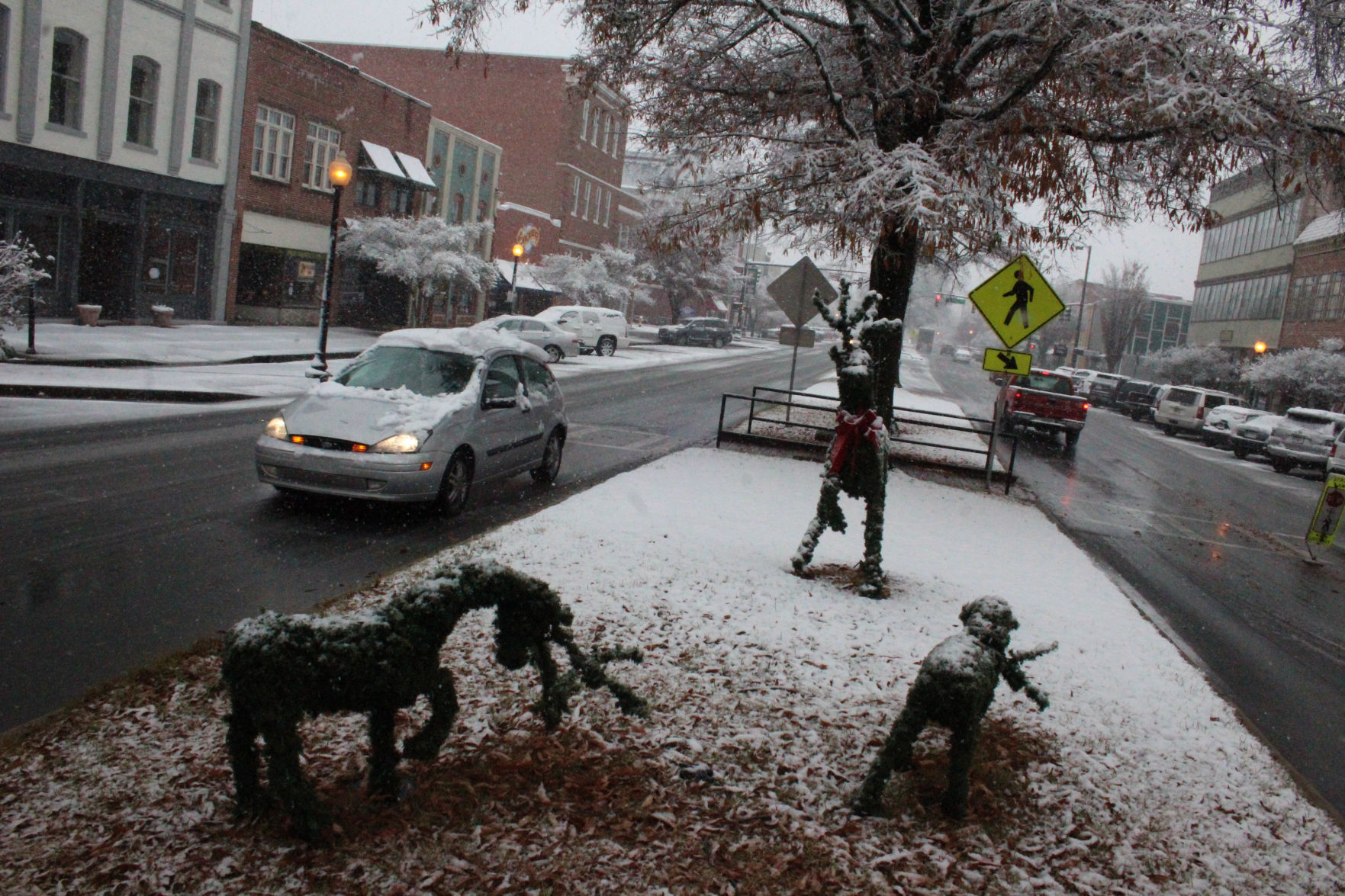 broad streets missing reindeer is recovered anonymous tcom letter of recommendation