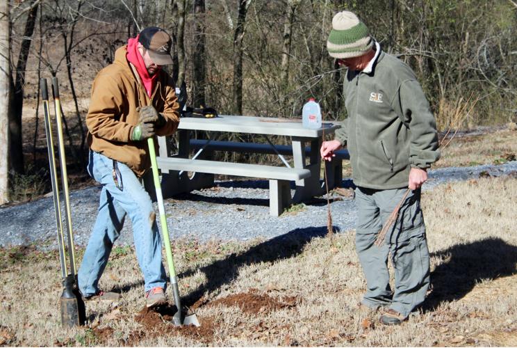 Volunteers Plant Trees For Arbor Day