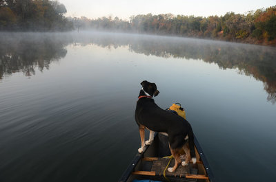 Taking Up The Challenge Rome Resident Joe Cook Unwittingly Completes A Challenge To Paddle 12 Georgia