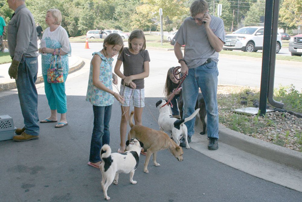 Rabies clinic