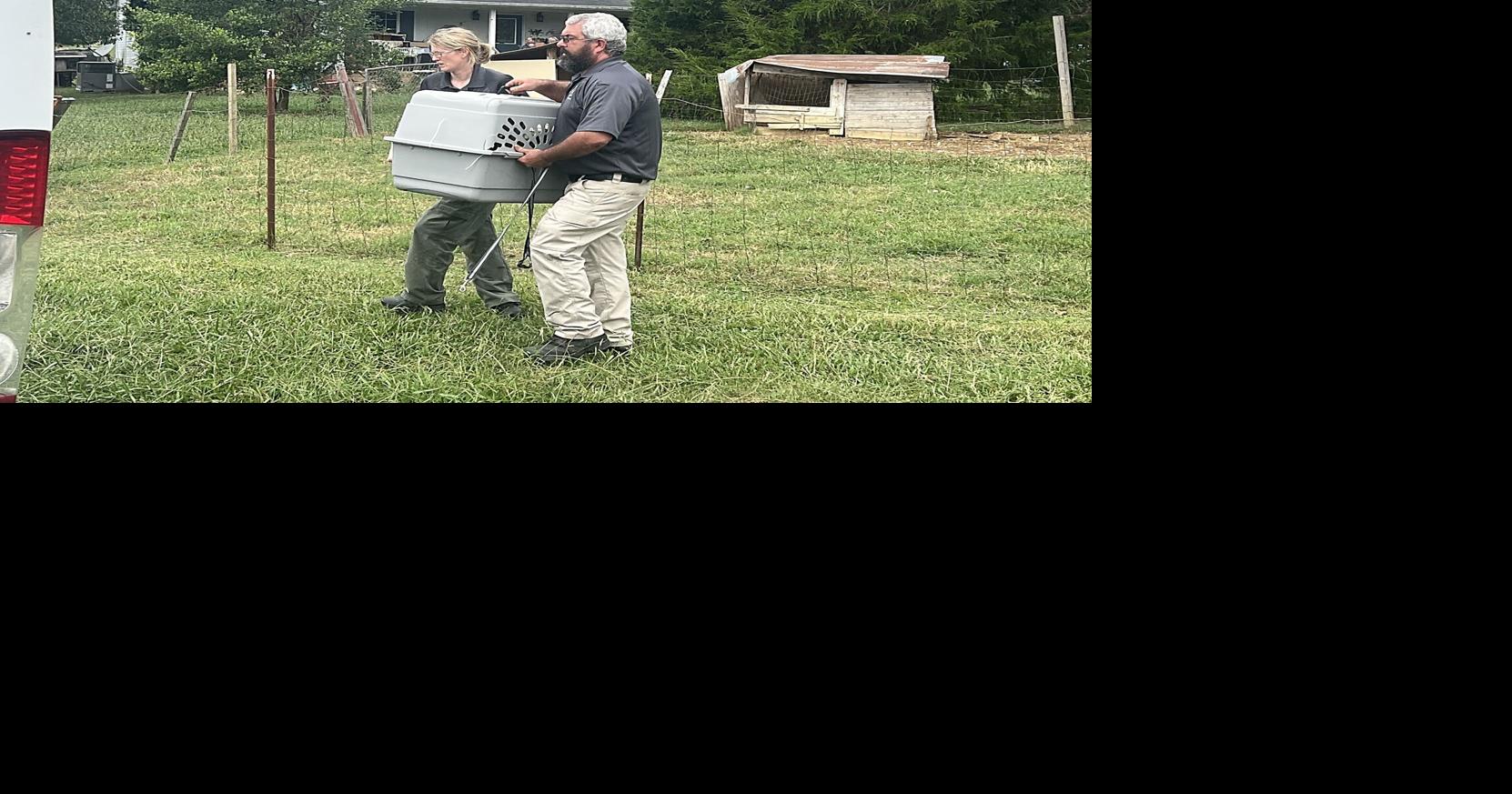 Walker County couple charged with animal cruelty | News ...