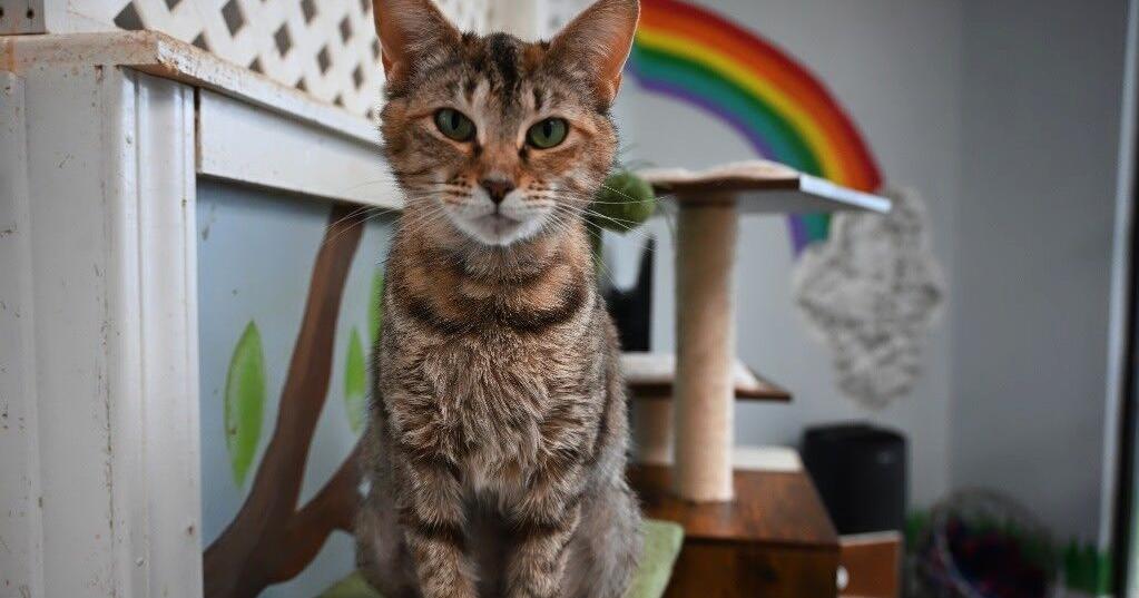 Around Town: This high-energy fundraiser is a perfect fit for Floyd. Plus, if you're ready to rumble, now's the time