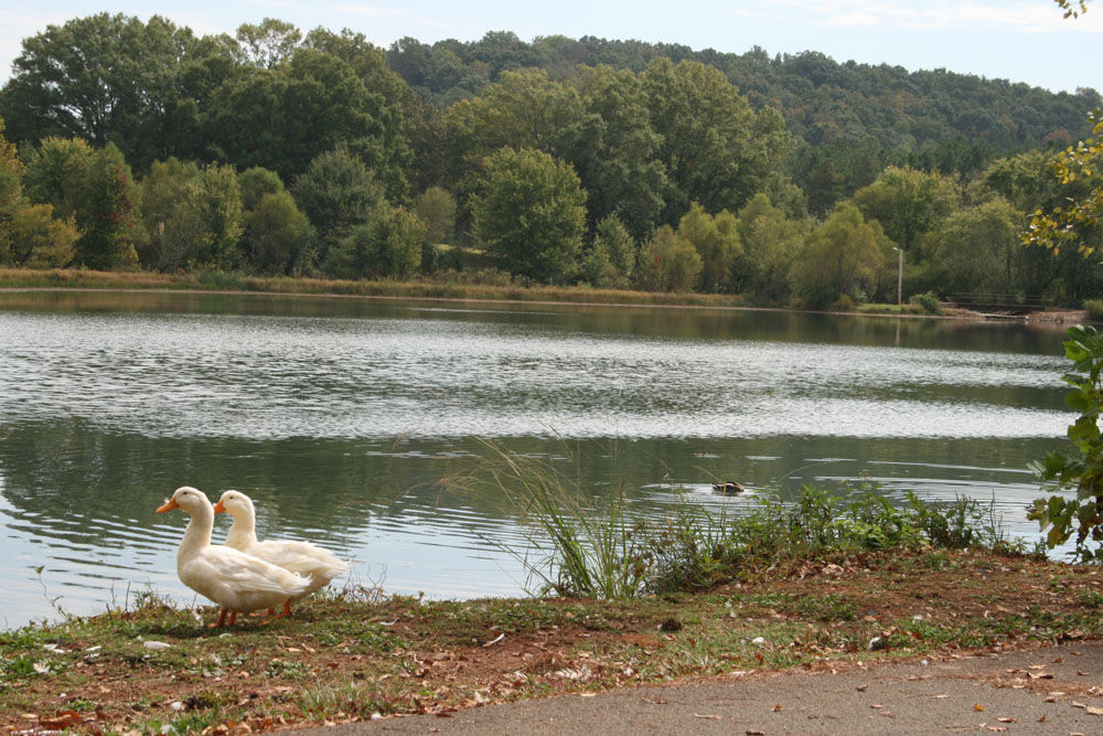 A day at Paris Lake Gallery