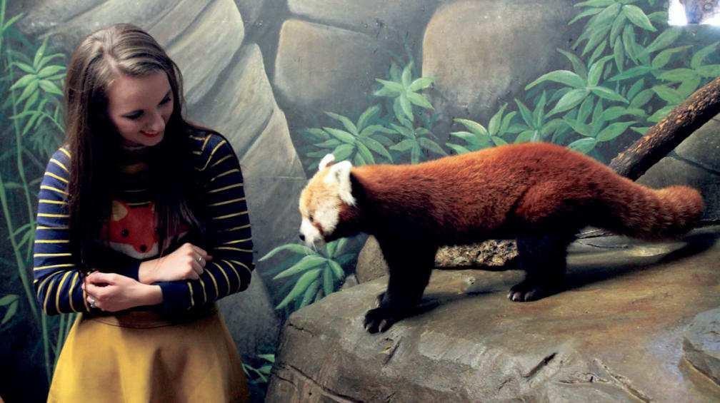 Local library partners with Chattanooga Zoo