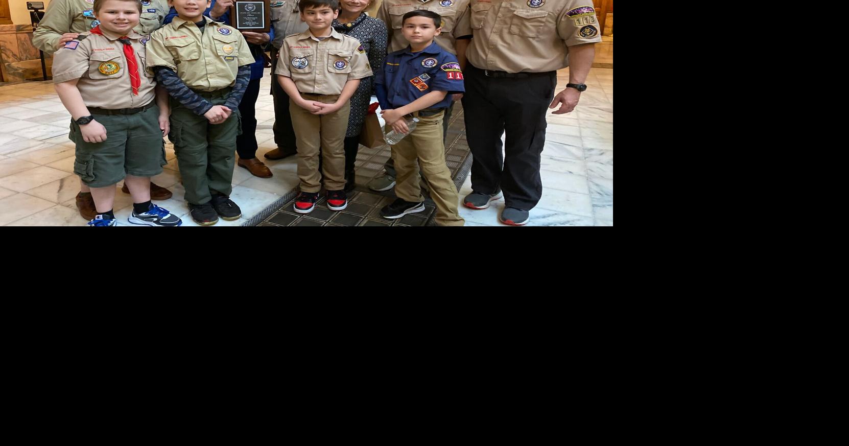 Local Scouts visit the State Capitol for Scout Day | Lifestyles ...