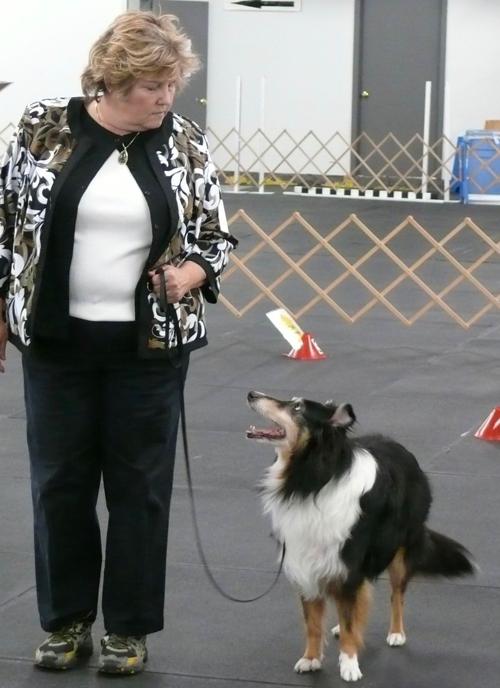 Dog obedience classes begin July 8