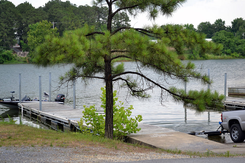 Big bass tourney coming back to Weiss Lake Local News