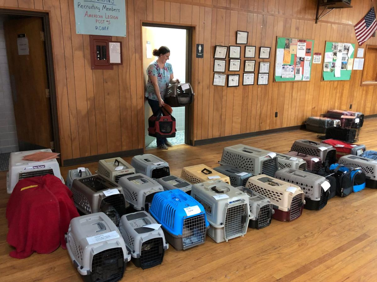 Rome Floyd Humane Society Event Spays And Neuters Up To 130 Cats