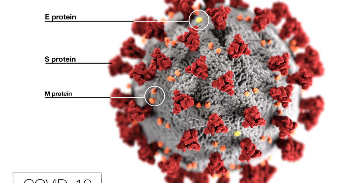 37 covid patients in Rome’s hospitals Friday, down 4 from Thursday, as BA.5 variant surges. Region remains at a high risk of spreading the virus. | Hometown Headlines 37 covid patients in Rome’s hospitals Friday, down 4 from Thursday, as BA.5 variant surges. Region remains at a high risk of spreading the virus. | Hometown Headlines