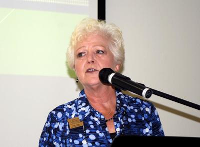 Tourism chief: Bartow needs more hotel rooms | Local News