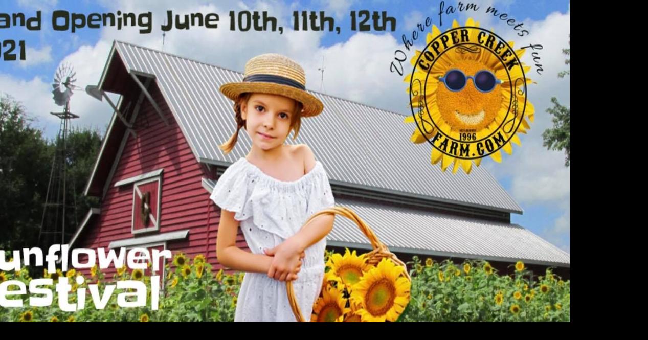 Copper Creek Farm Sunflower Festival to return June 10