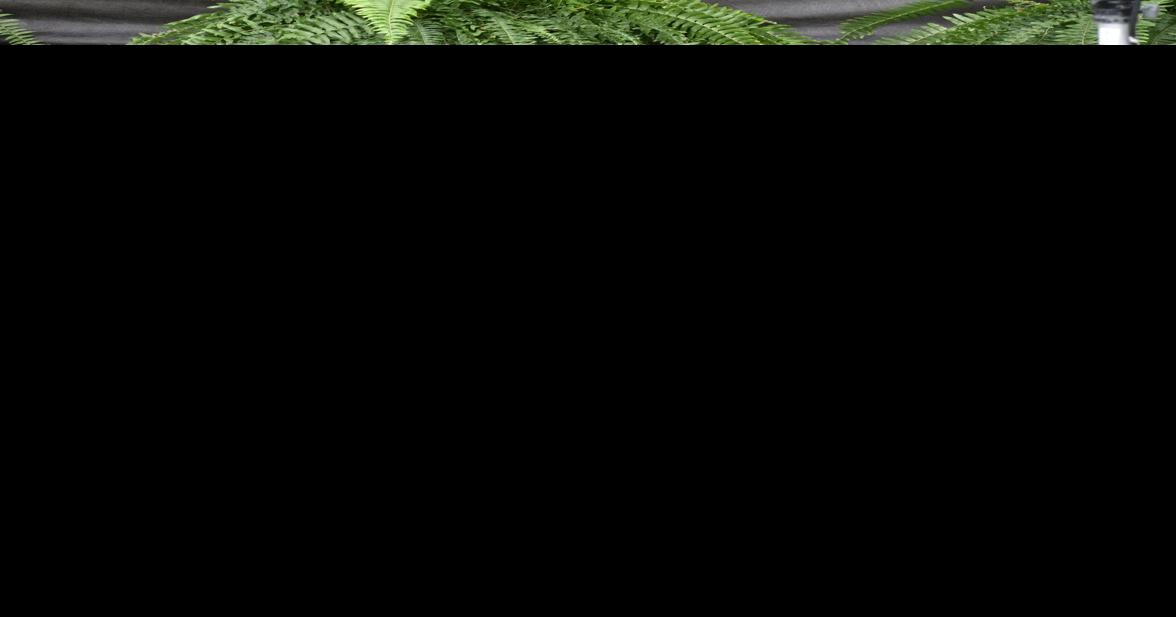 Catoosa County S Heritage High Holds Drive Thru Graduation Ceremonies Catoosa Walker News Northwestgeorgianews Com