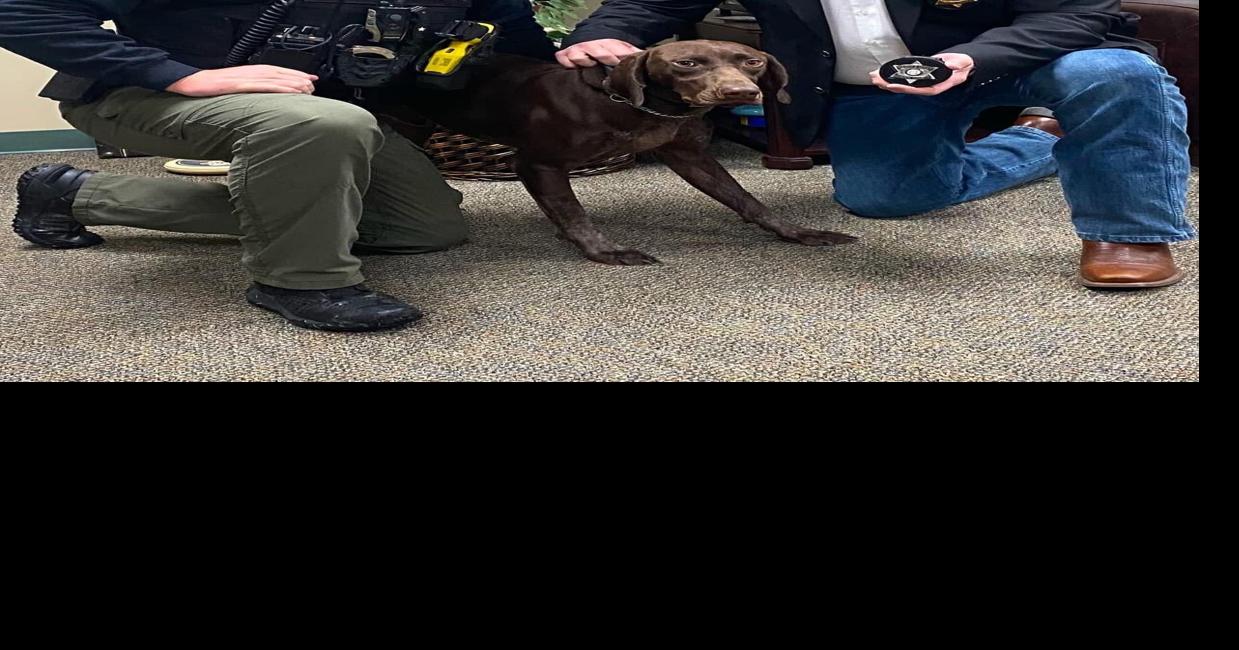 Sheriff's Office gets new K-9 officer | Local | northwestgeorgianews.com