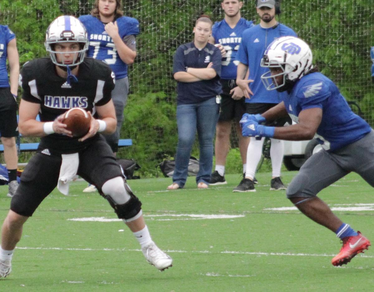 Shorter Football Hawks Coming Together Brick By Brick