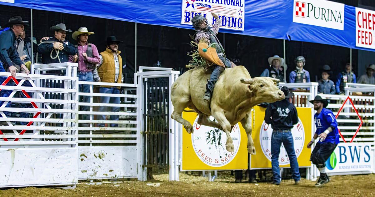 Bull Riding returns to The Forum Jan. 10 and 11 | Local ...