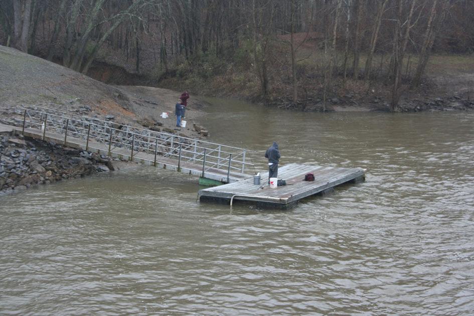 Fishing at Lock & Dam Gallery