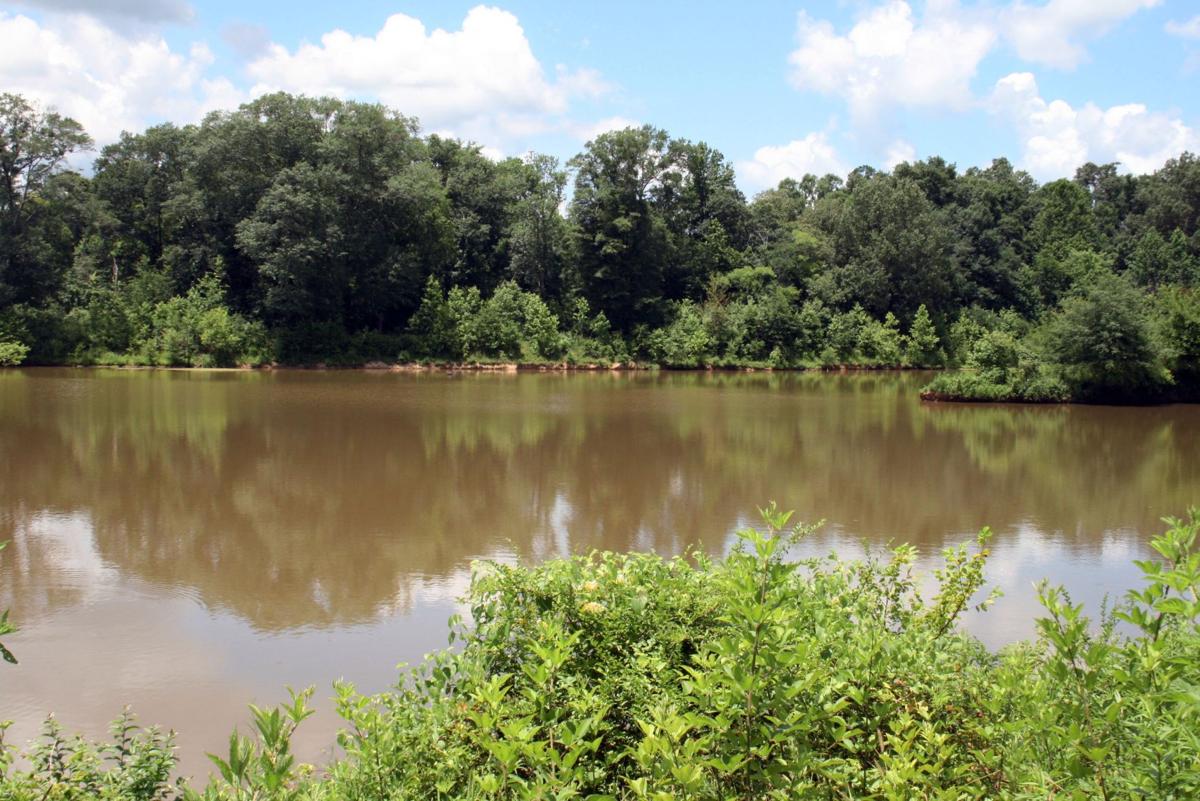 Paving of new Mount Berry Trail about halfway complete Lifestyles