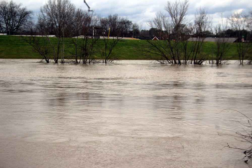 Officials Rome levees built to last Local News