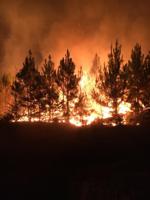‘No Burn’ Order expanded to all Alabama counties
