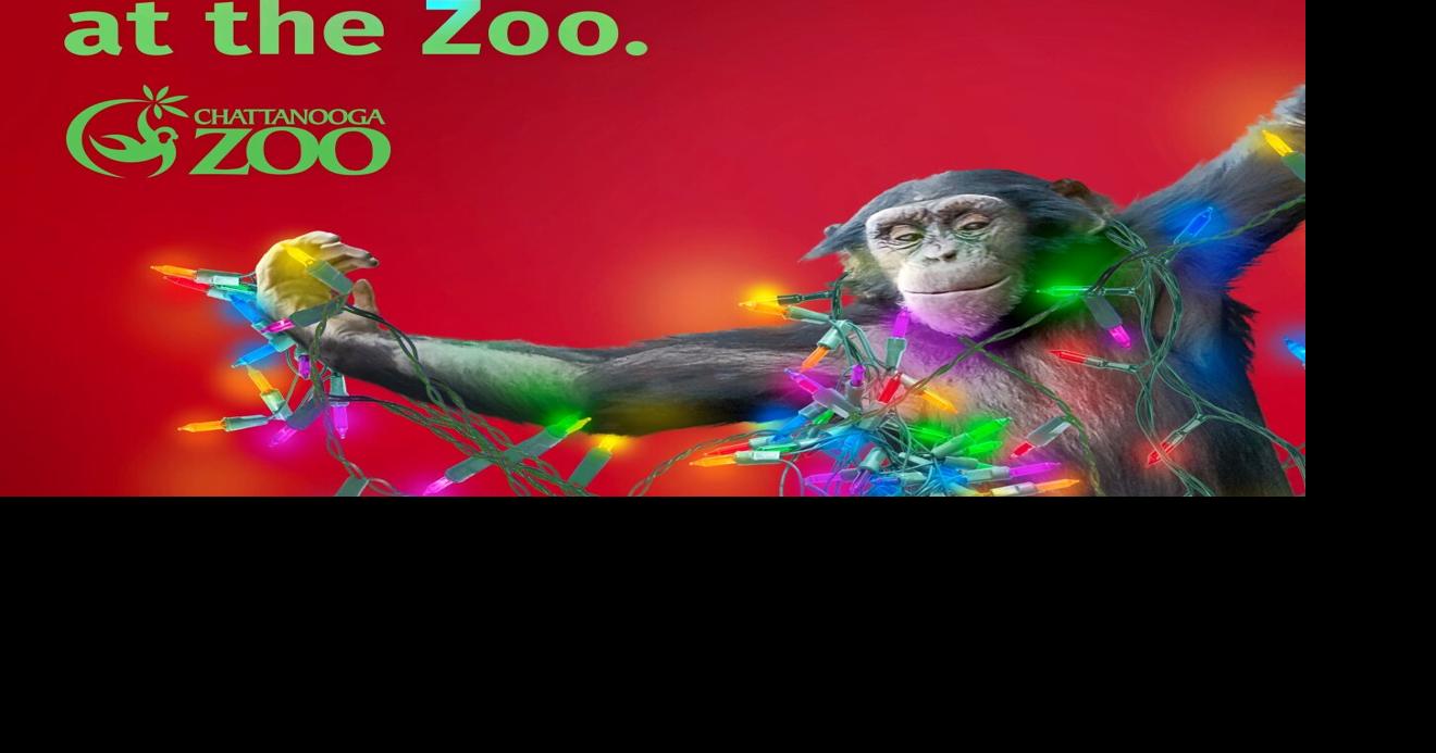 Holiday Lights at the Chattanooga Zoo