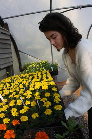 Around Town: Could this familiar Floyd County garden flower become part of your daily diet? Plus, Rome makes it to the World Cup