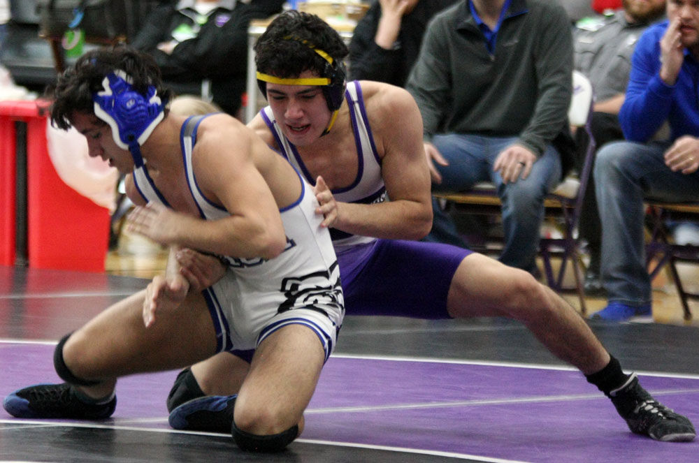 PREP WRESTLING Darlington has seven win area titles on big day for