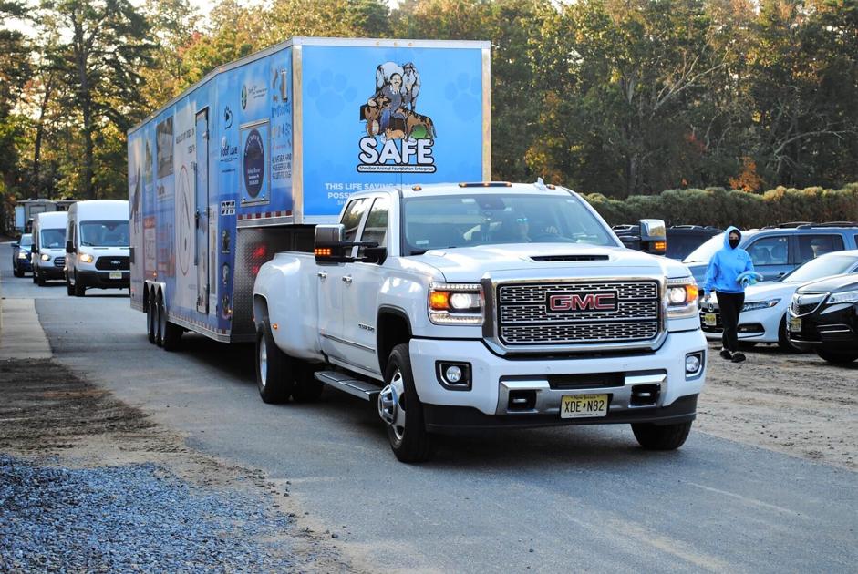 Catoosa County Animal shelter largely emptied on Jan. 22 Catoosa