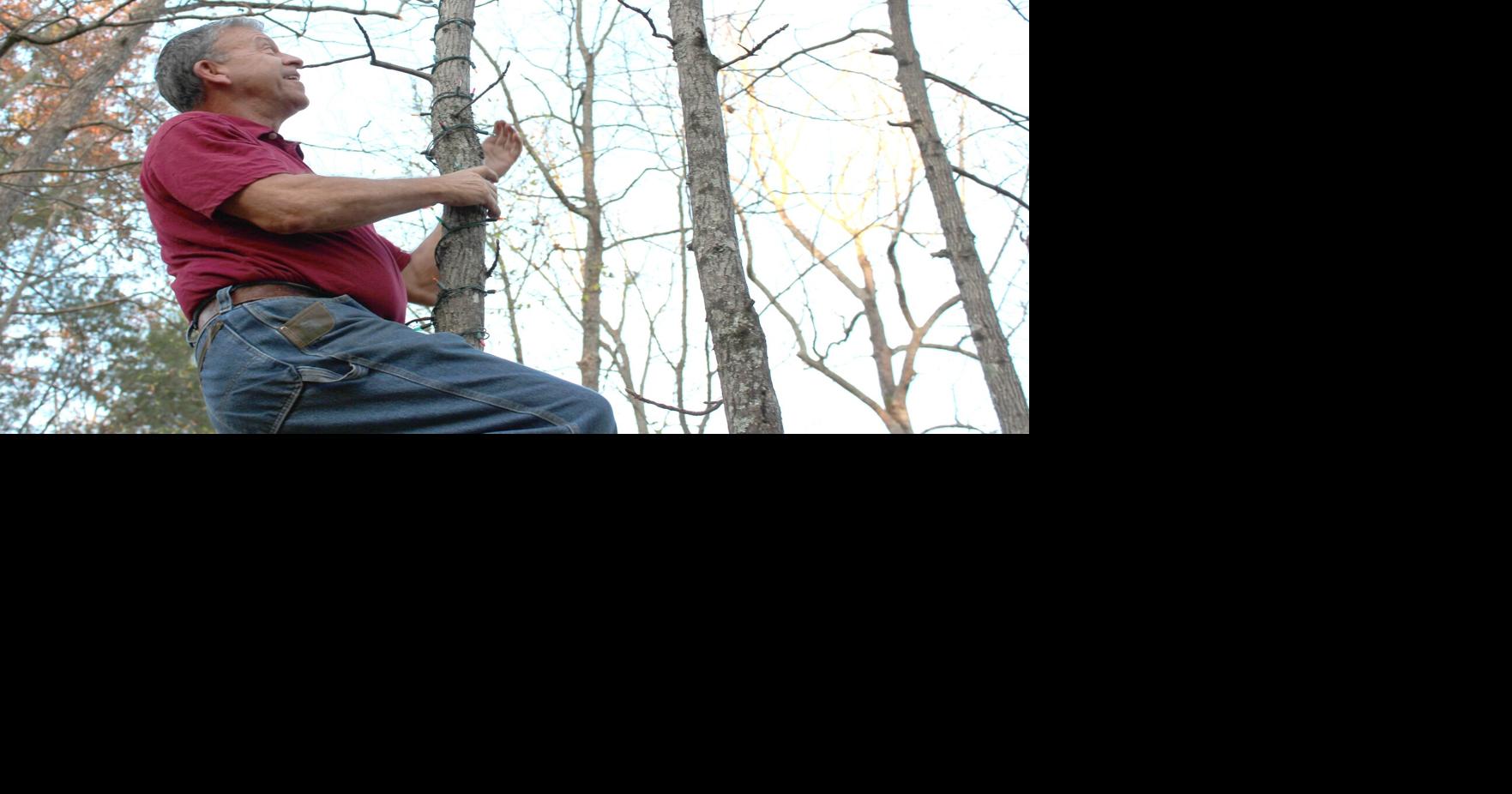 90,000 lights and counting Local lights up the night for Christmas