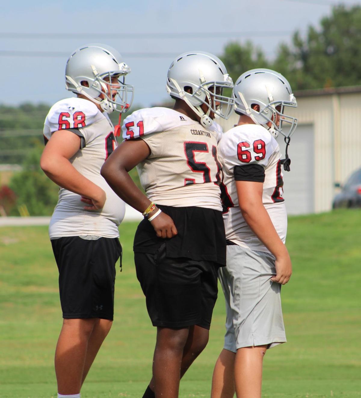 Pigskin Preview Bulldogs Seek Chances To Build In 2019 Local
