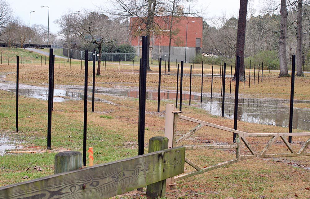 Dog park taking shape at Ridge Ferry | Local News | northwestgeorgianews.com