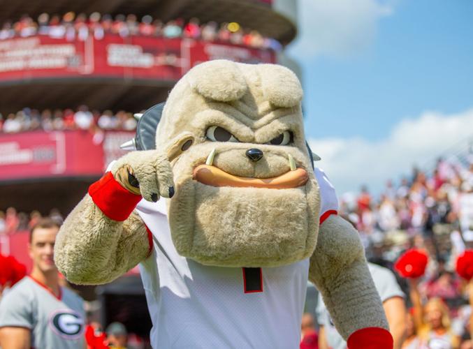 Year of the Dawg: A photo review of UGA’s stellar season Local News