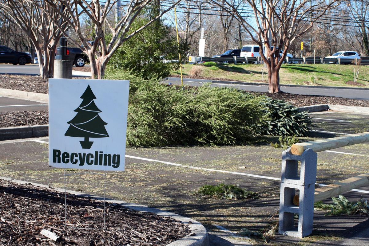 Used Christmas Trees Maybe Bring One For The Crappie Local News Northwestgeorgianews Com